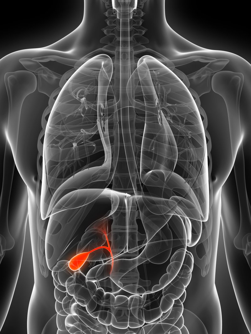 What Is The Use Of Gallbladder In Human Body - Changingyourbusiness.com